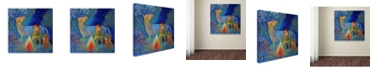 Trademark Global Oxana Ziaka 'Dream' Canvas Art - 14" x 14" x 2"